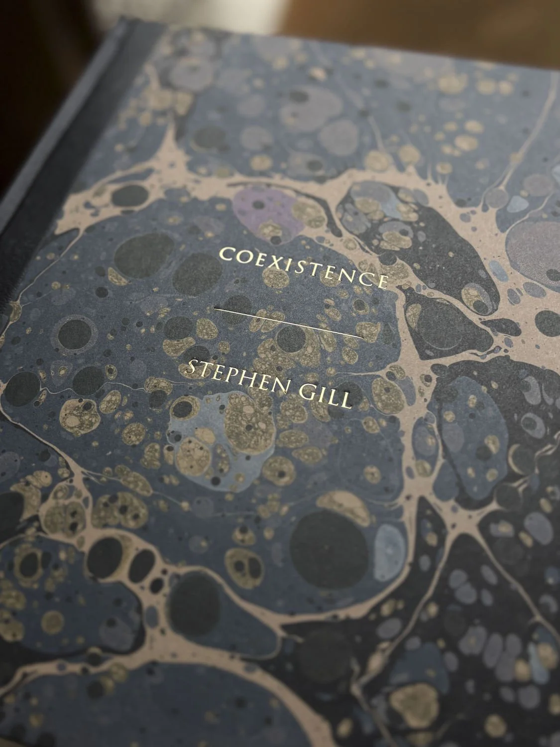 Coexistence by Stephen Gill - Image 4