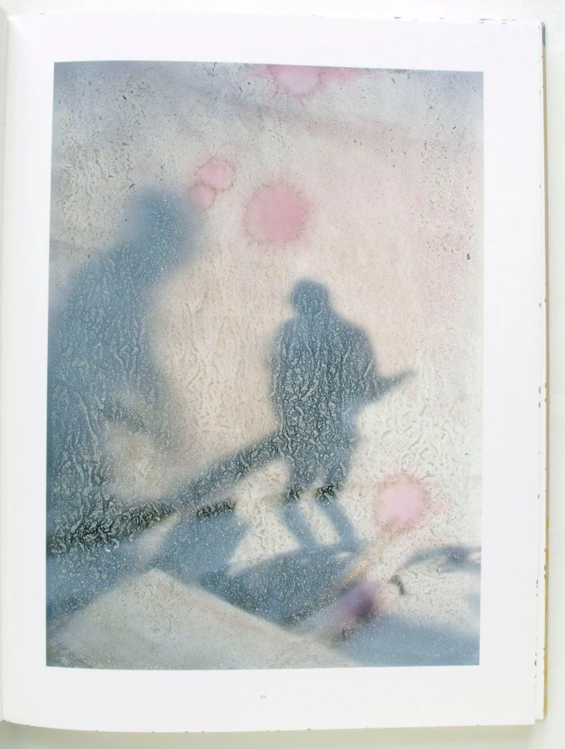 Coexistence by Stephen Gill - Image 6