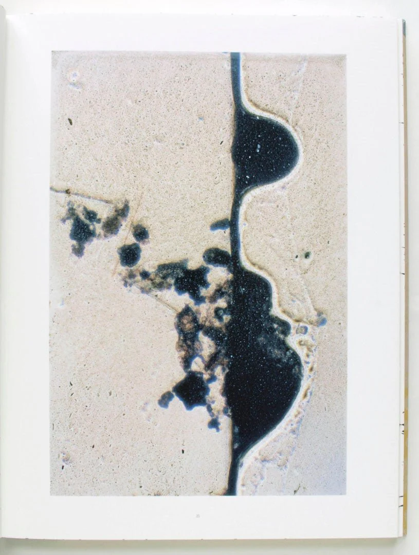 Coexistence by Stephen Gill - Image 7