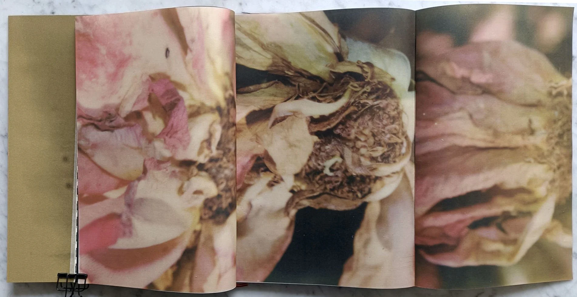 Deceptions by Ye Zeng Yi Li - Image 13