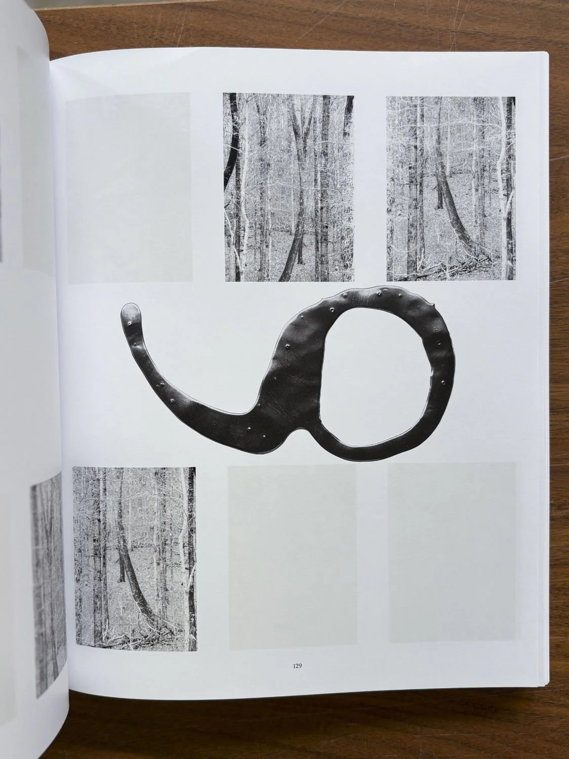 Distribution by Daniel Shea - Image 3