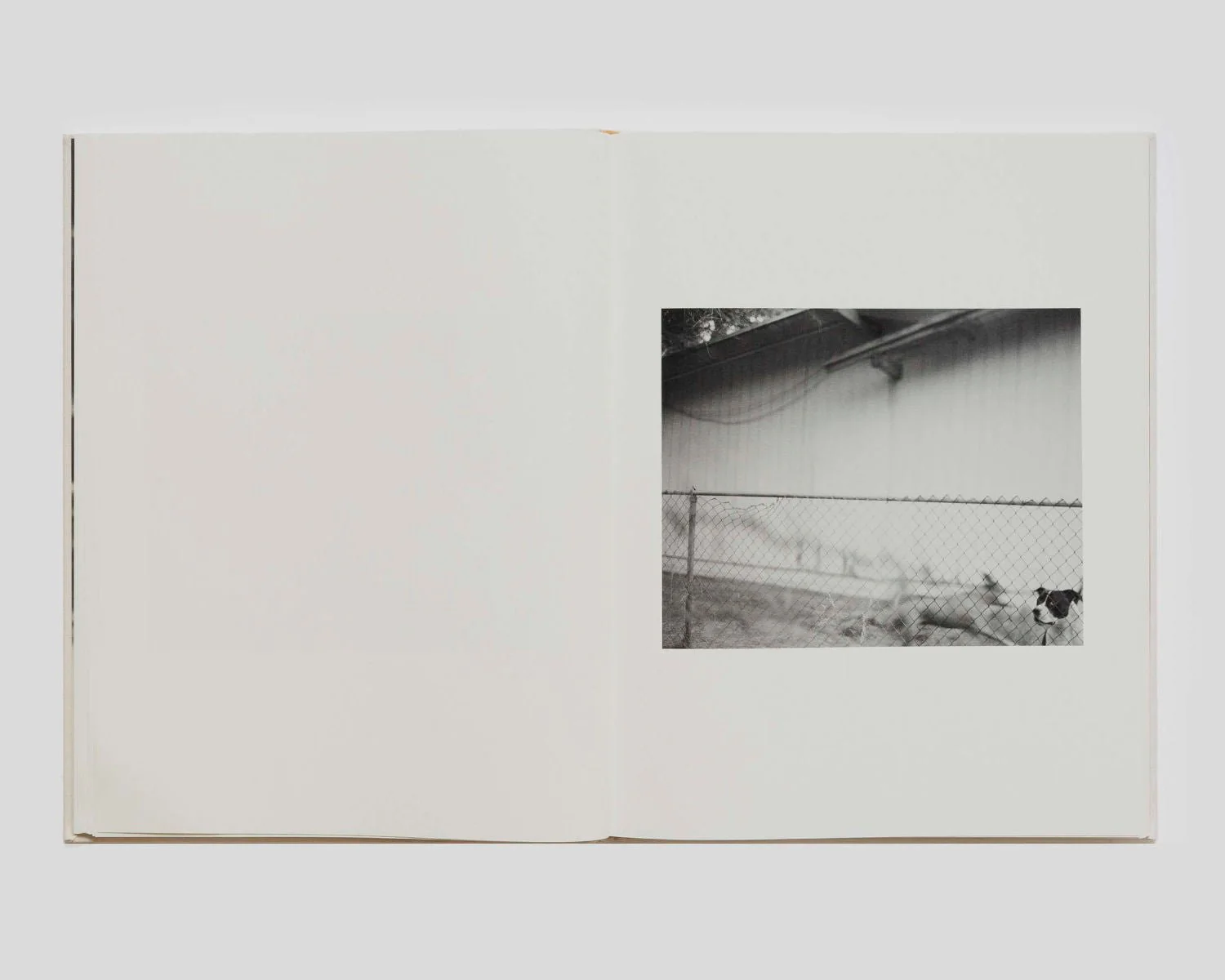Dogbreath by Matthew Genitempo Signed - Image 2