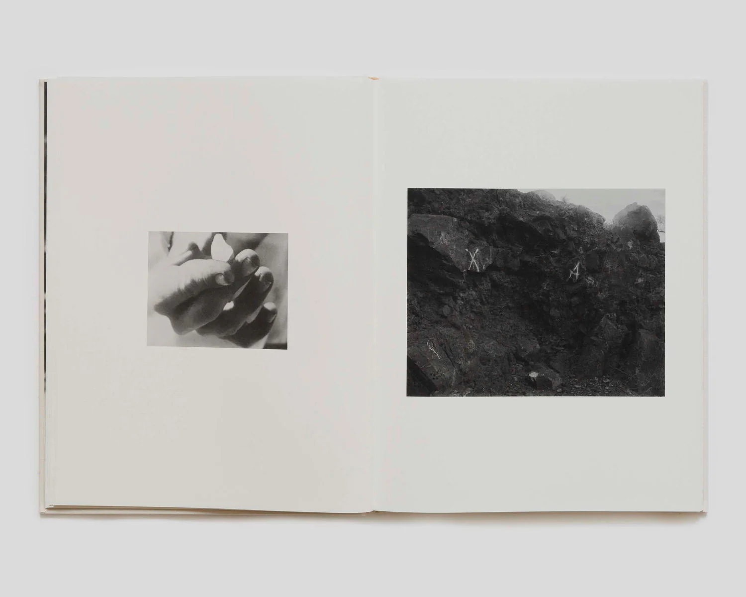 Dogbreath by Matthew Genitempo Signed - Image 3