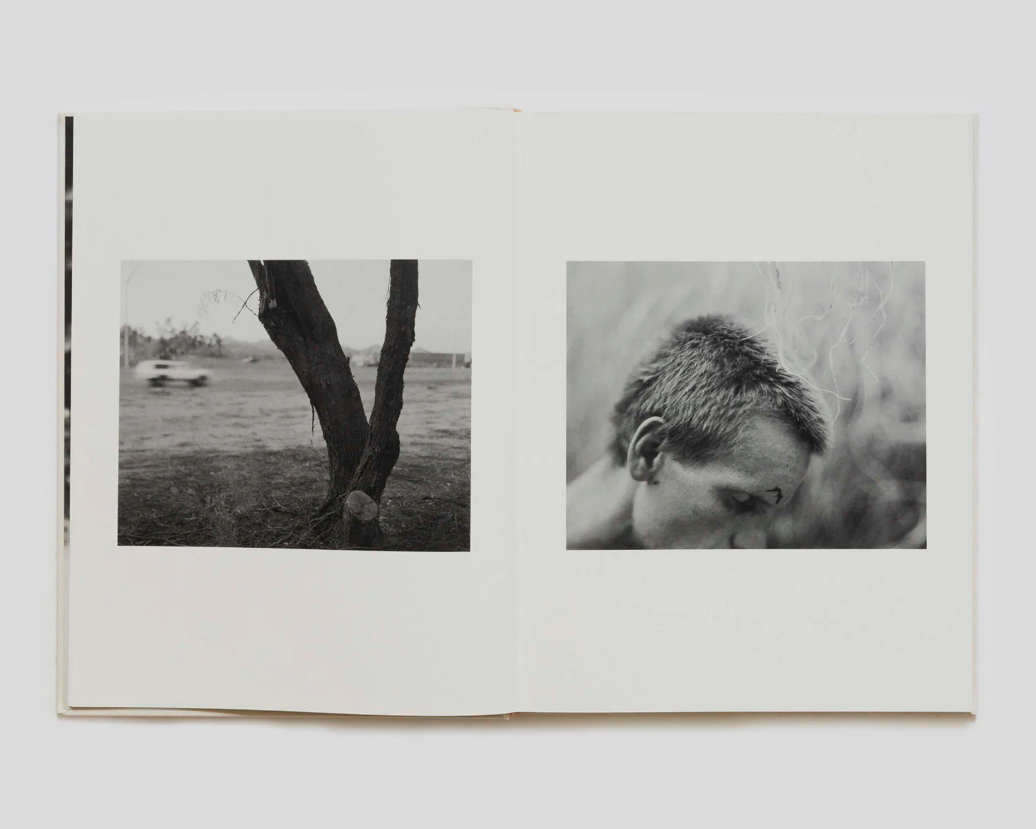 Dogbreath by Matthew Genitempo Signed - Image 5