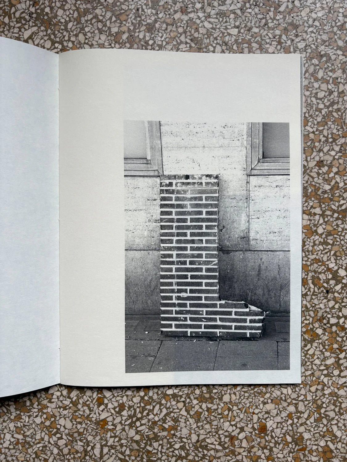 Emilie Orengo - Image 4