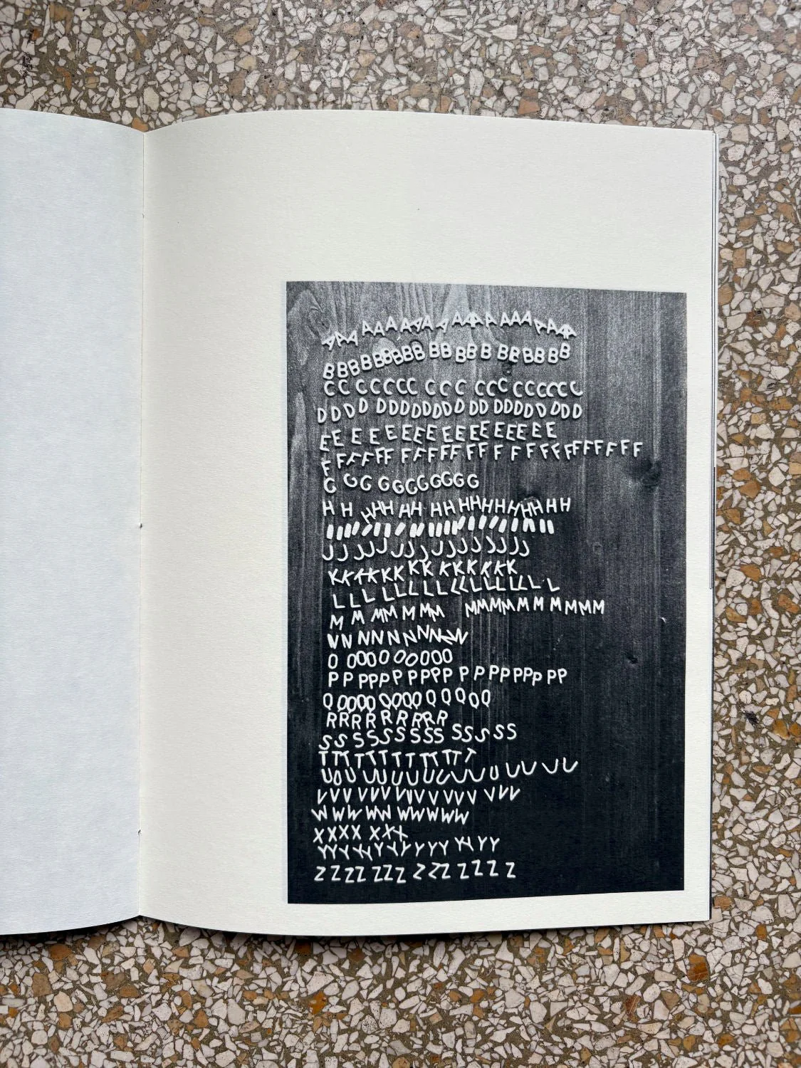 Emilie Orengo - Image 5