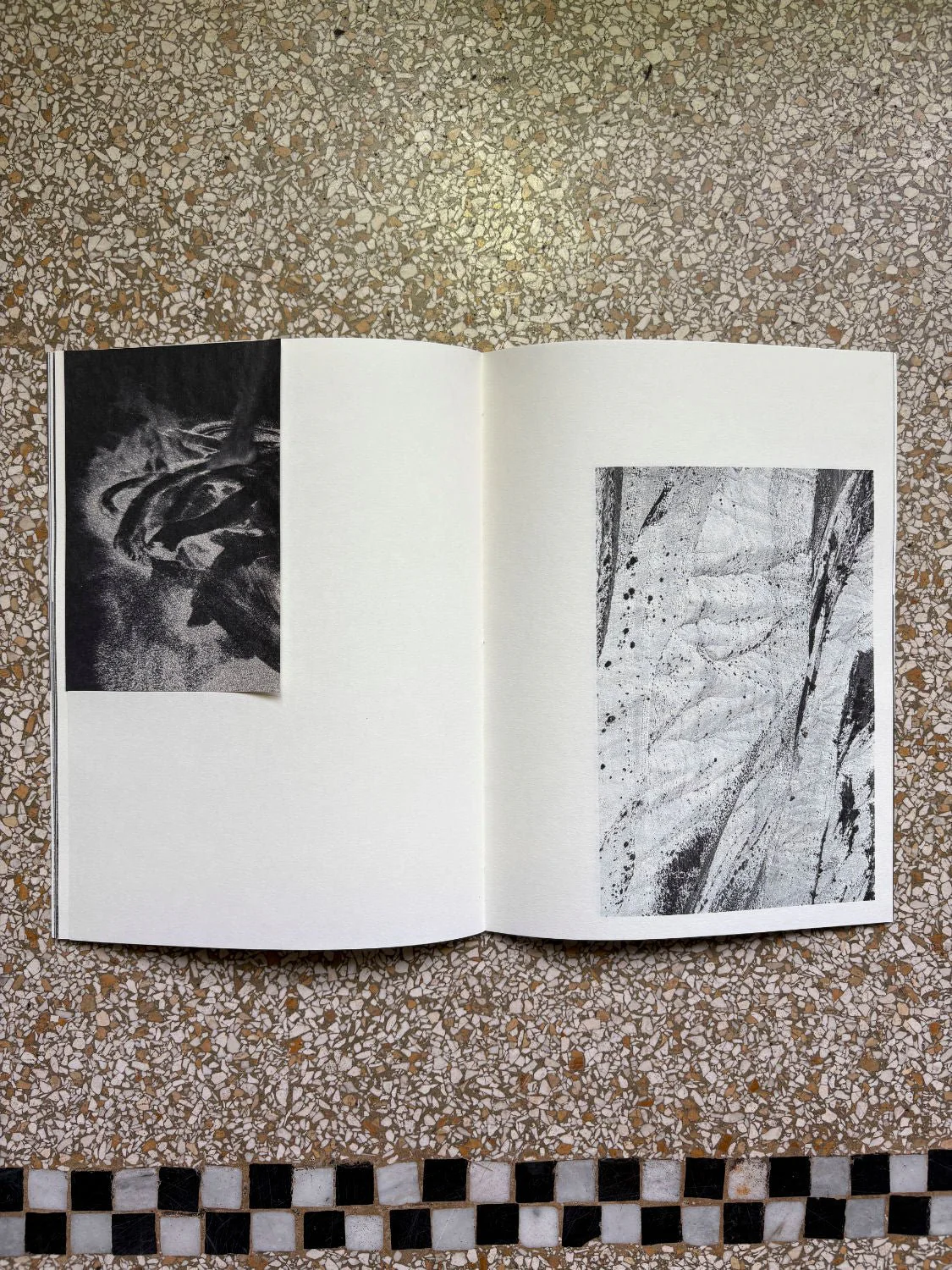 Emilie Orengo - Image 6