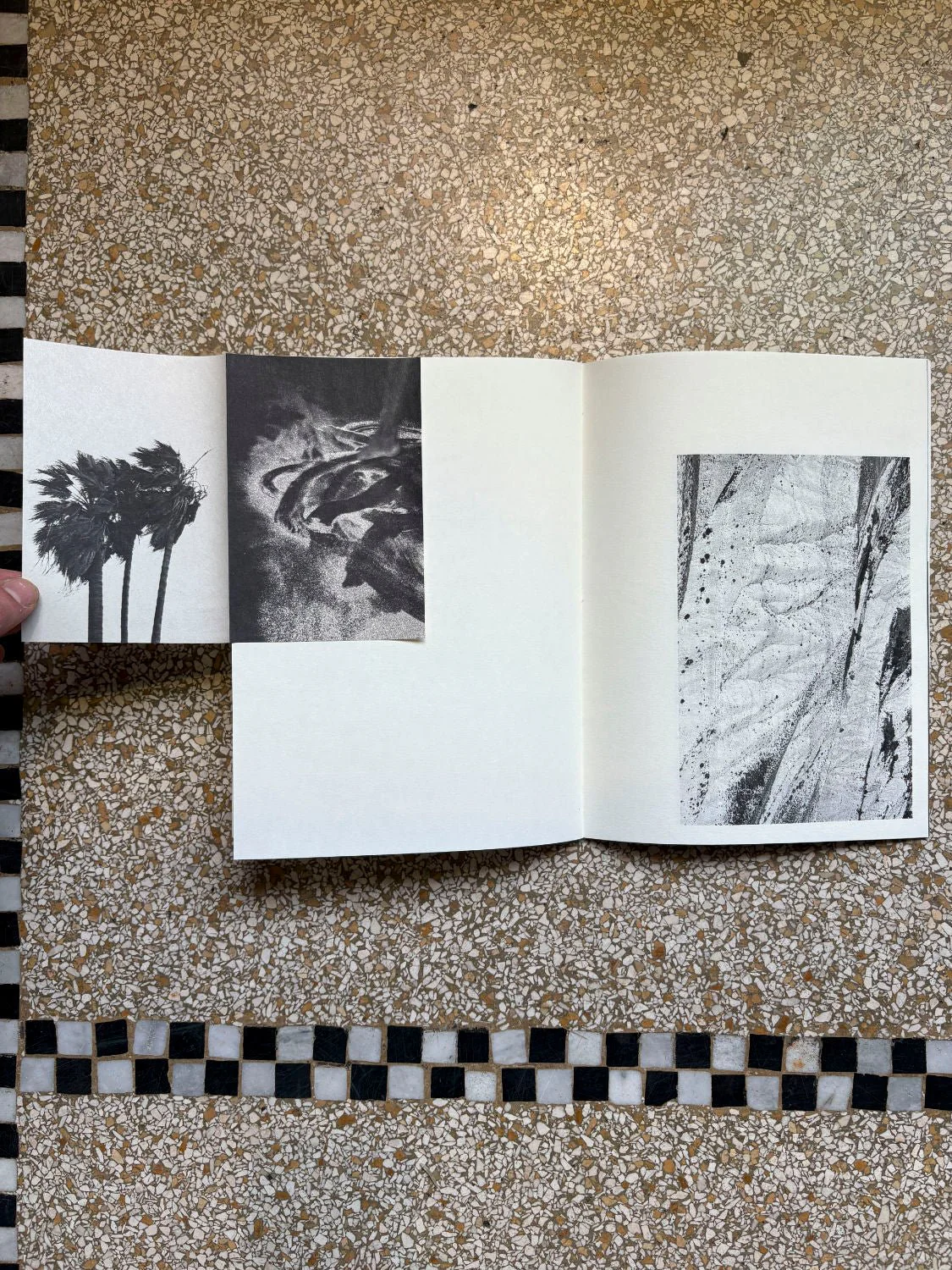 Emilie Orengo - Image 7