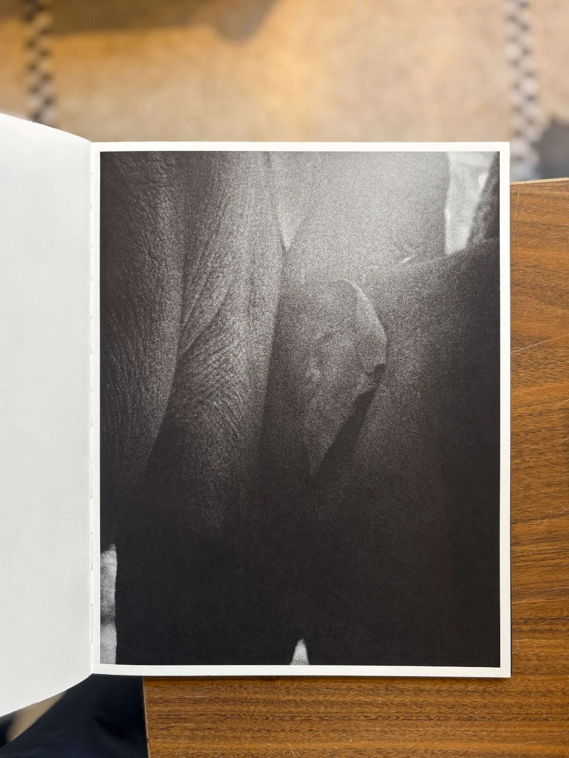 Entendue by Charlotte Dumas - Image 2