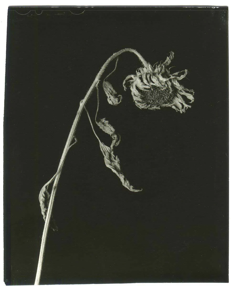 Epitome by Vic Bakin - Image 7