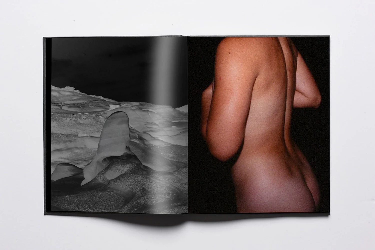 Escavadora by Rita Lino - Image 5