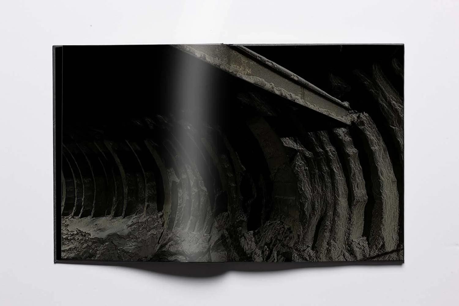 Escavadora by Rita Lino - Image 7