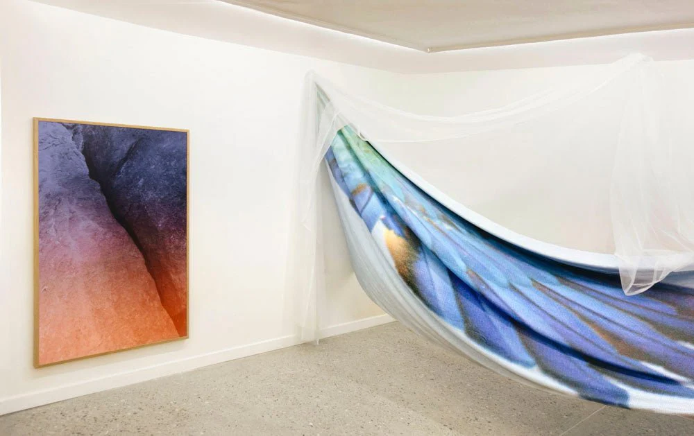 Exposition de photographie de Nassim Daghighian - Image 14
