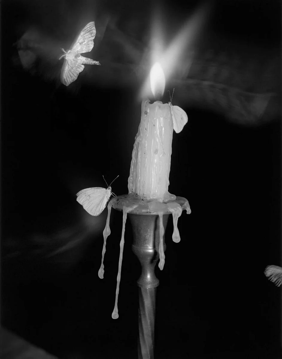 Flowers that Drink the River by Pia-Paulina Guilmoth - Image 4