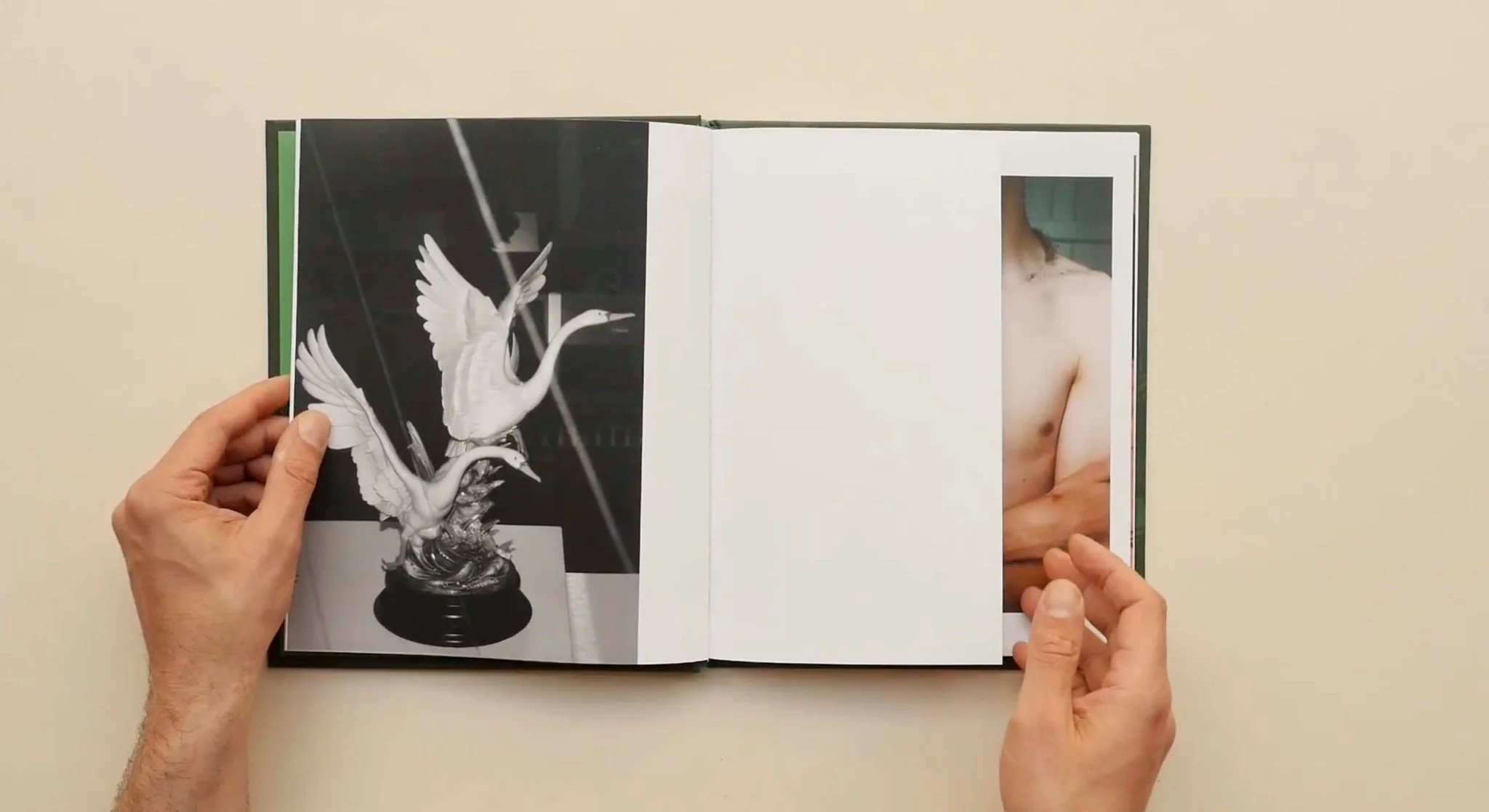 Folio by Vivian Sassen - Image 5