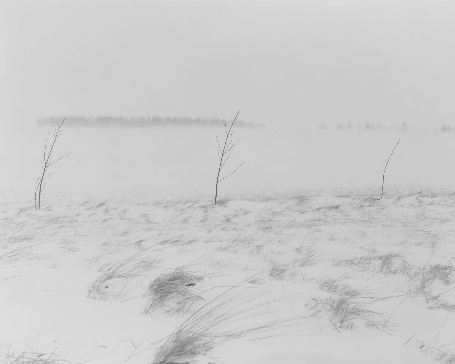 För by Agnieszka Sosnowska - Image 4
