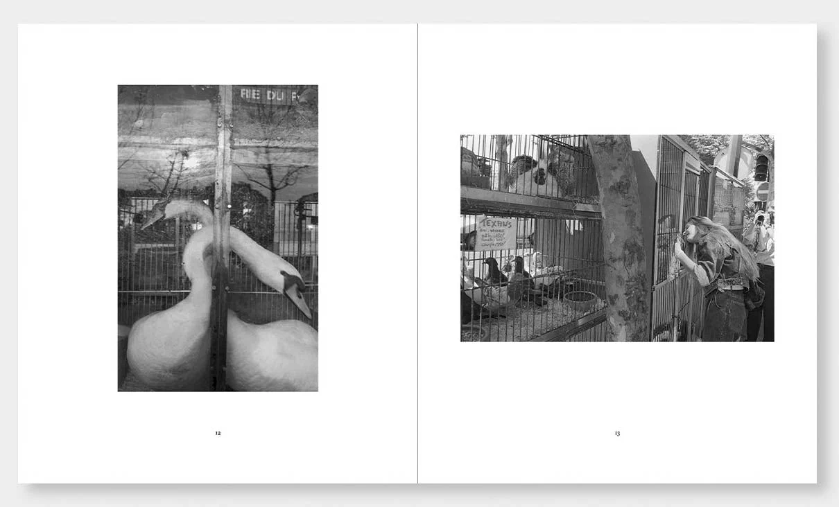 France 1987 by Mark Steinmetz - Image 4