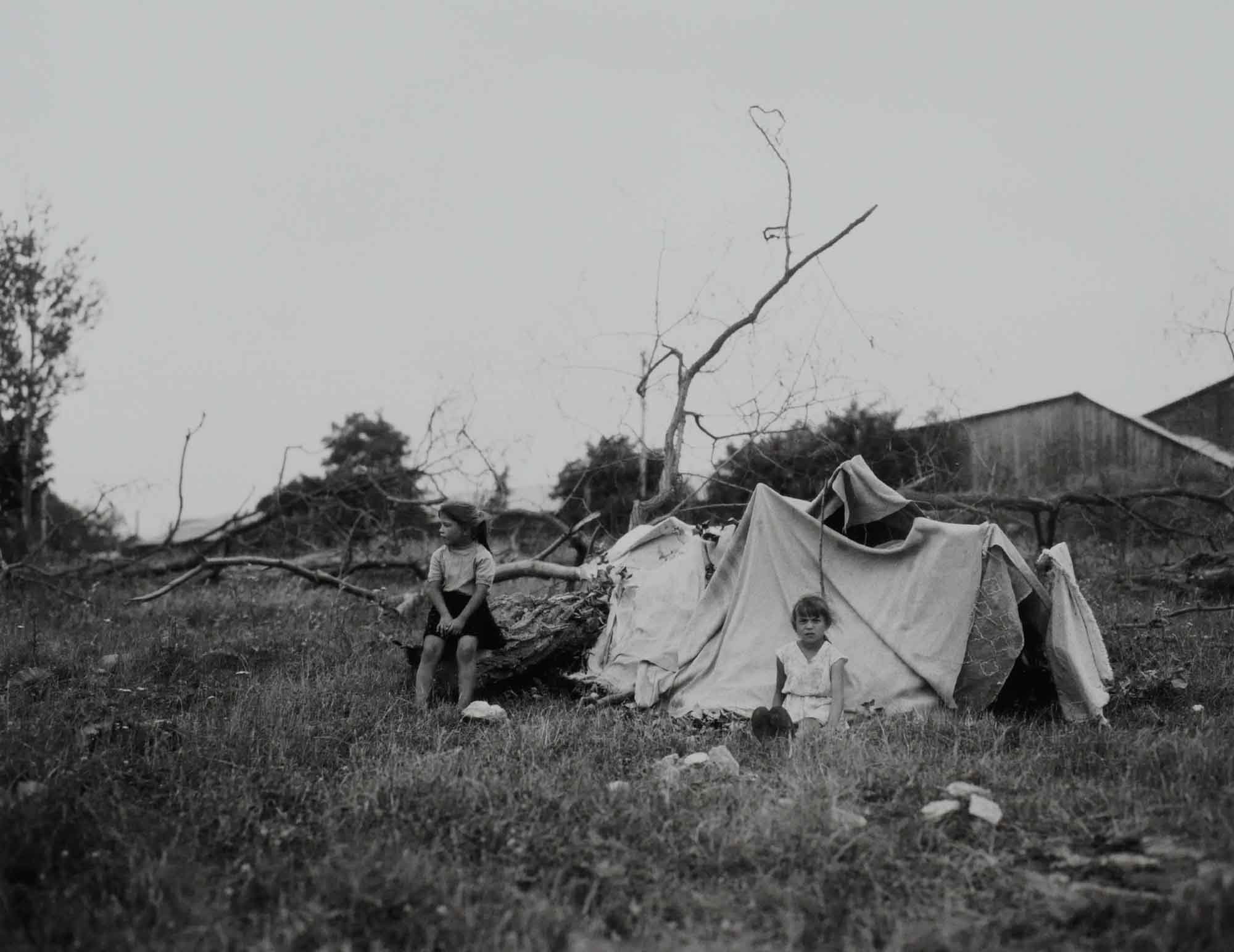 From Where They Came By Katherine Turczan - Image 5