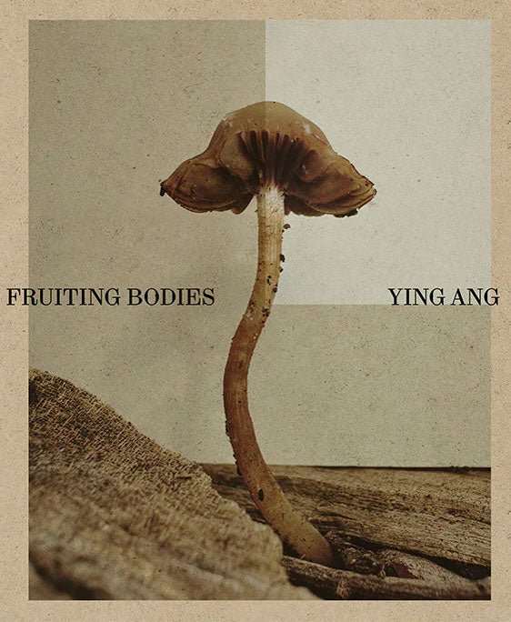 Fruiting Bodies by Ying Ang