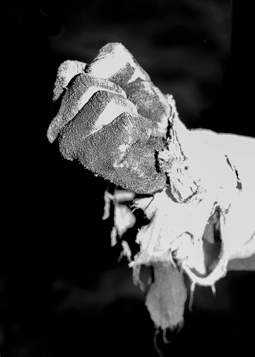 Fury by Marie Quéau - Image 9