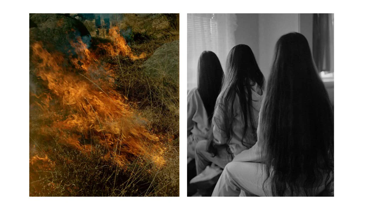 Gertrud by Maja Daniels - Image 12