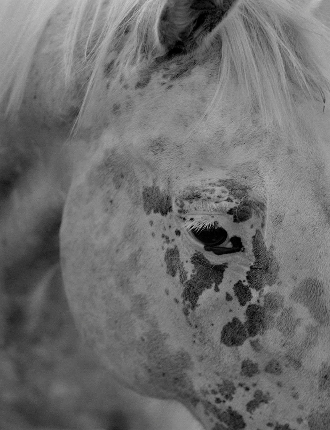 Gertrud by Maja Daniels - Image 2