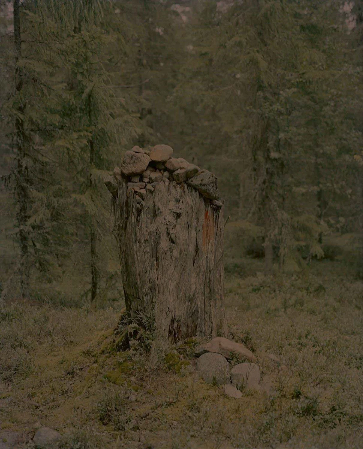 Gertrud by Maja Daniels - Image 3