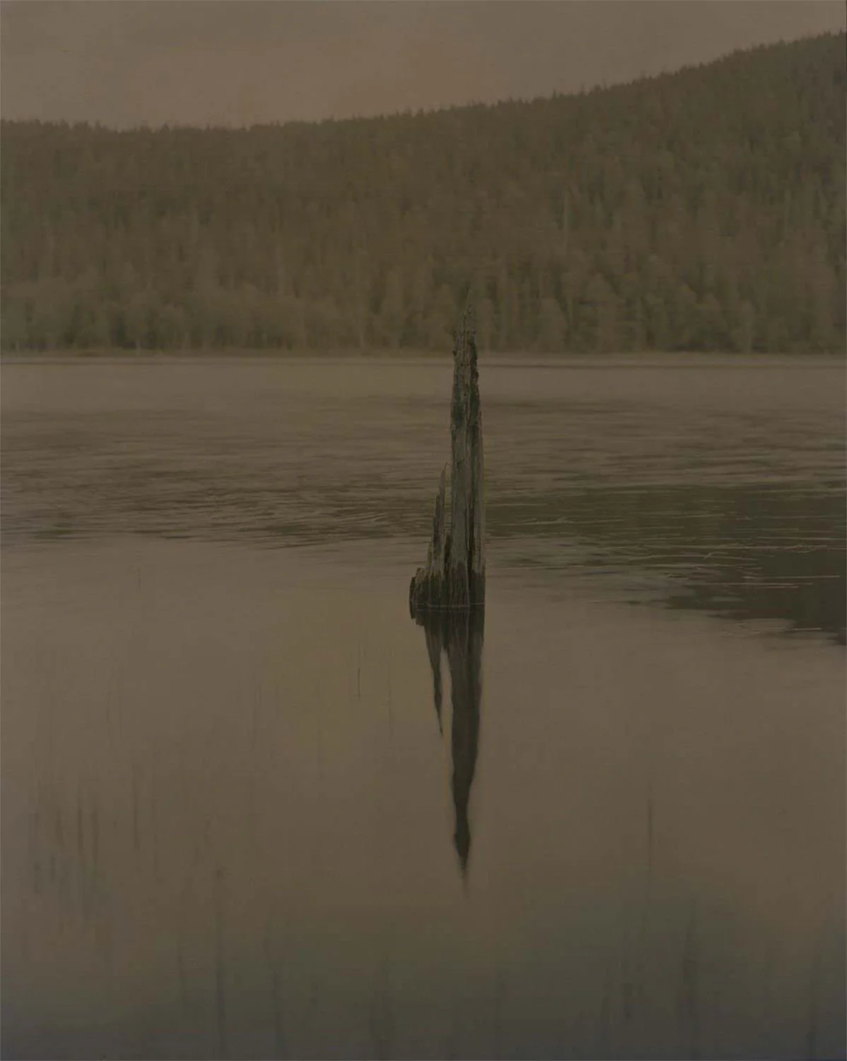 Gertrud by Maja Daniels - Image 6