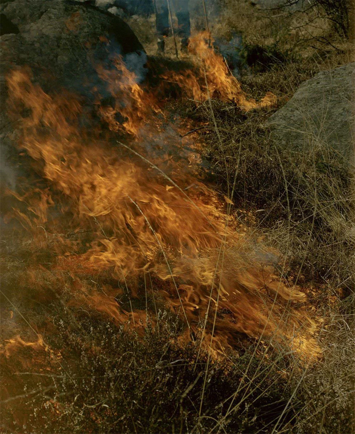 Gertrud by Maja Daniels - Image 9