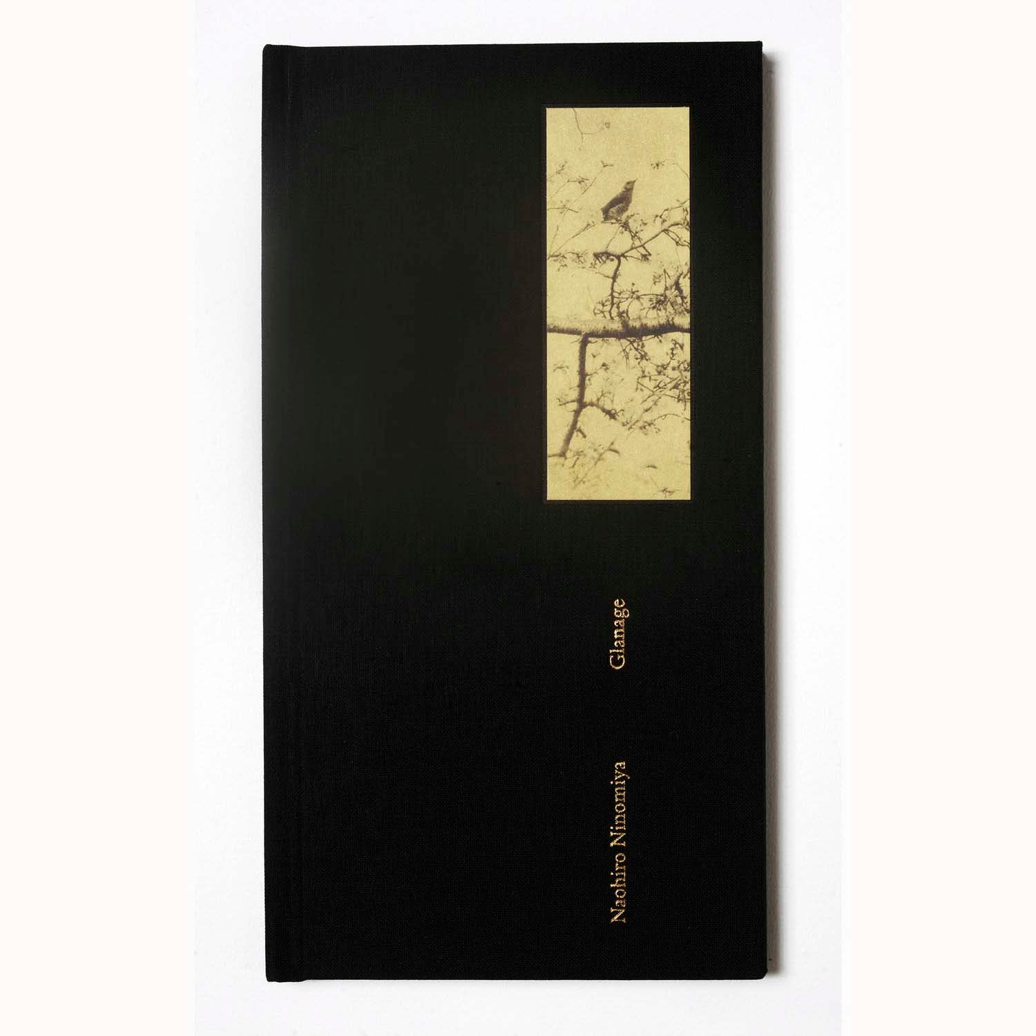 Glanage by Naohiro Ninomiya - Image 3