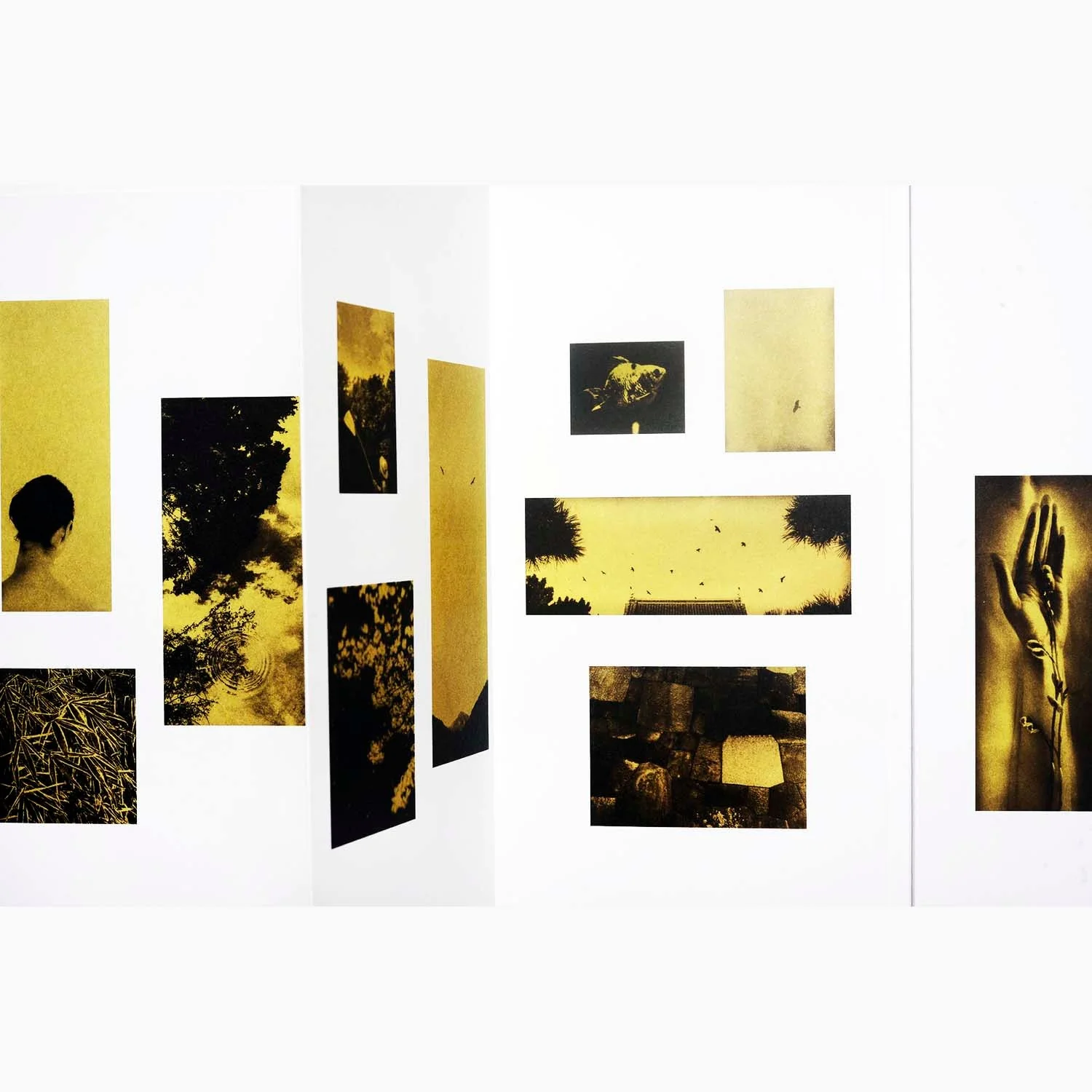 Glanage by Naohiro Ninomiya - Image 4