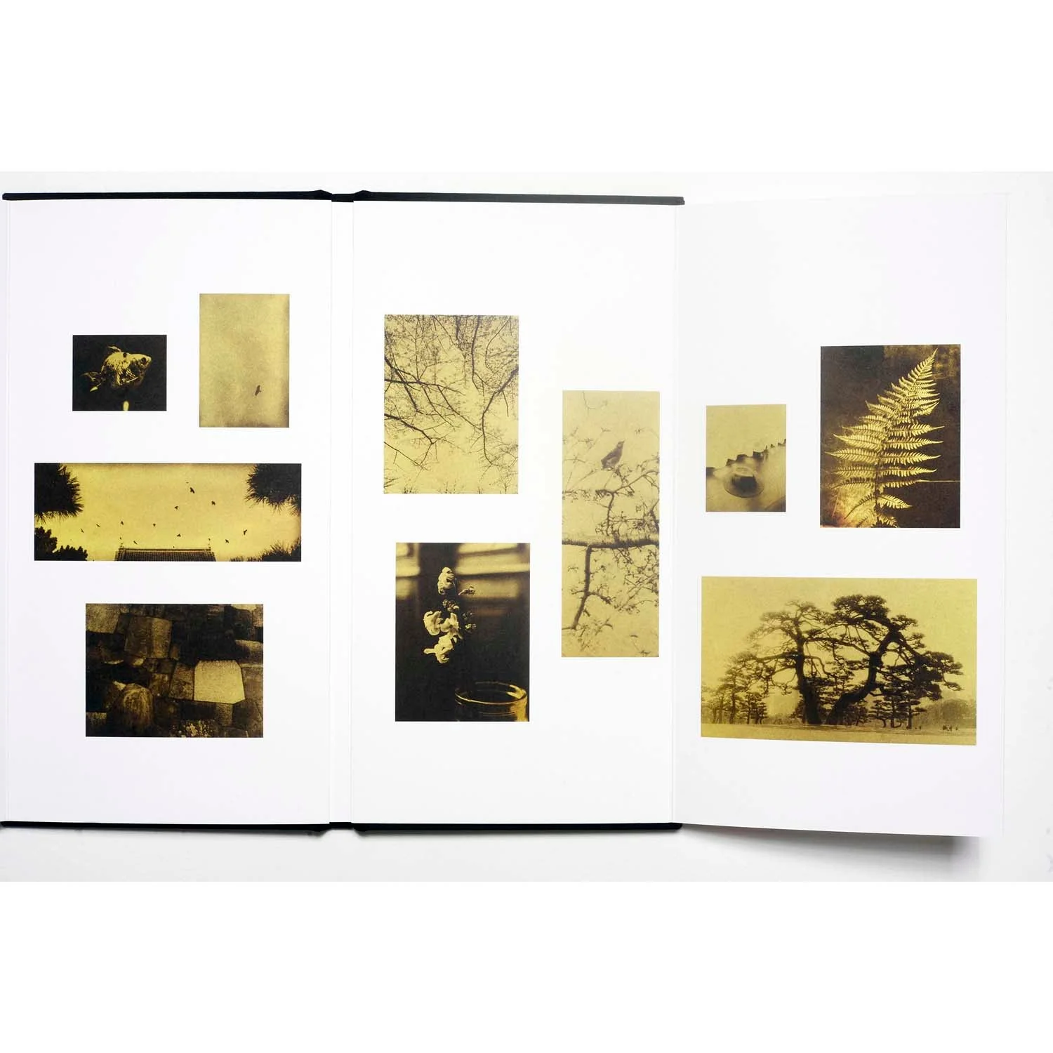 Glanage by Naohiro Ninomiya - Image 6
