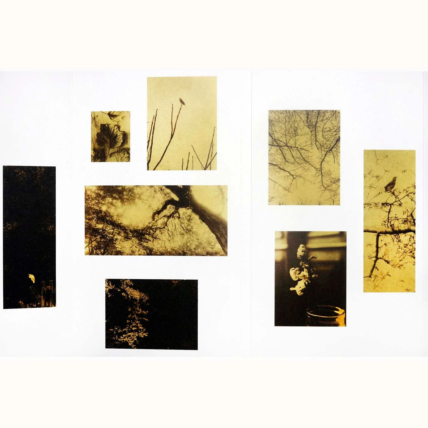 Glanage by Naohiro Ninomiya - Image 7