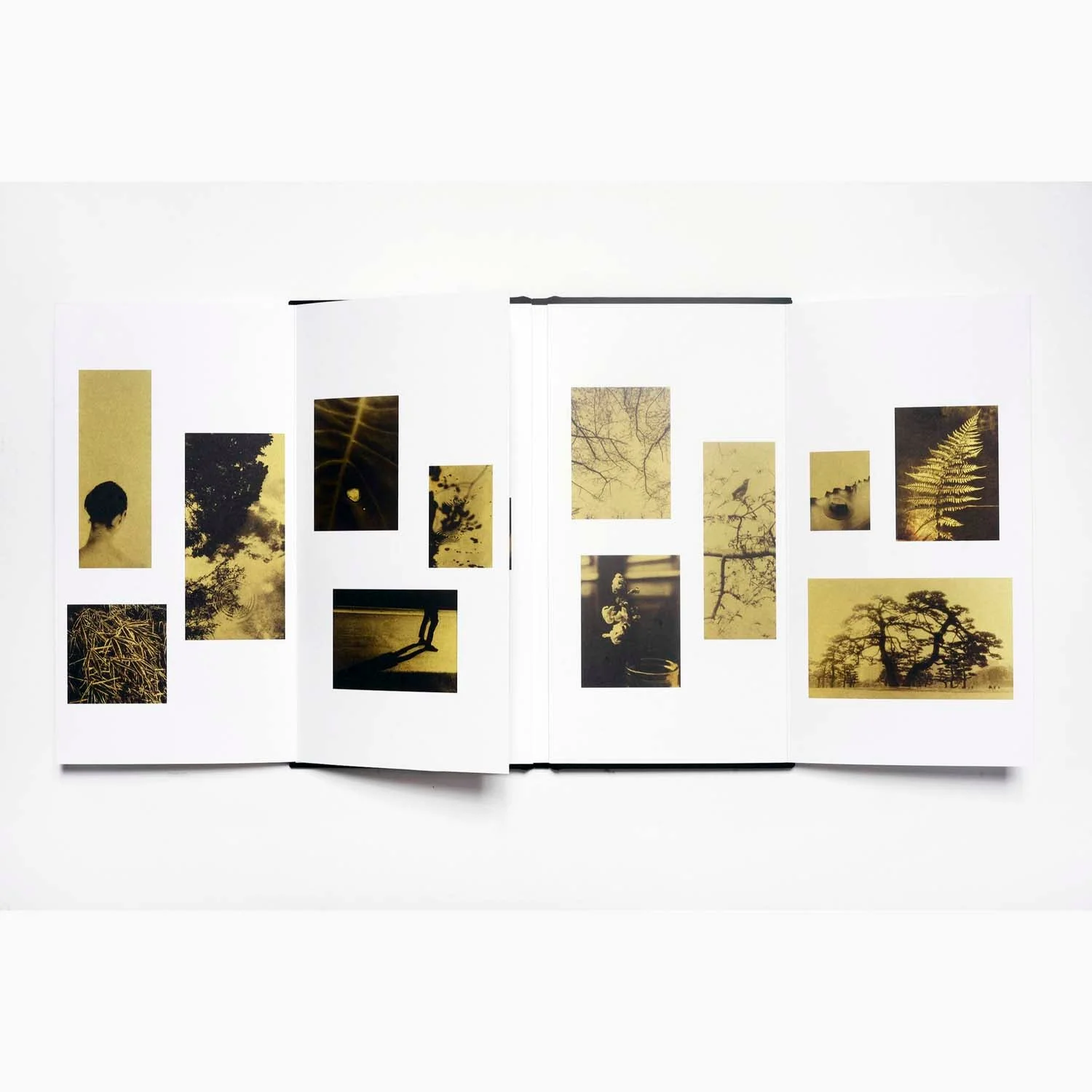 Glanage by Naohiro Ninomiya - Image 8