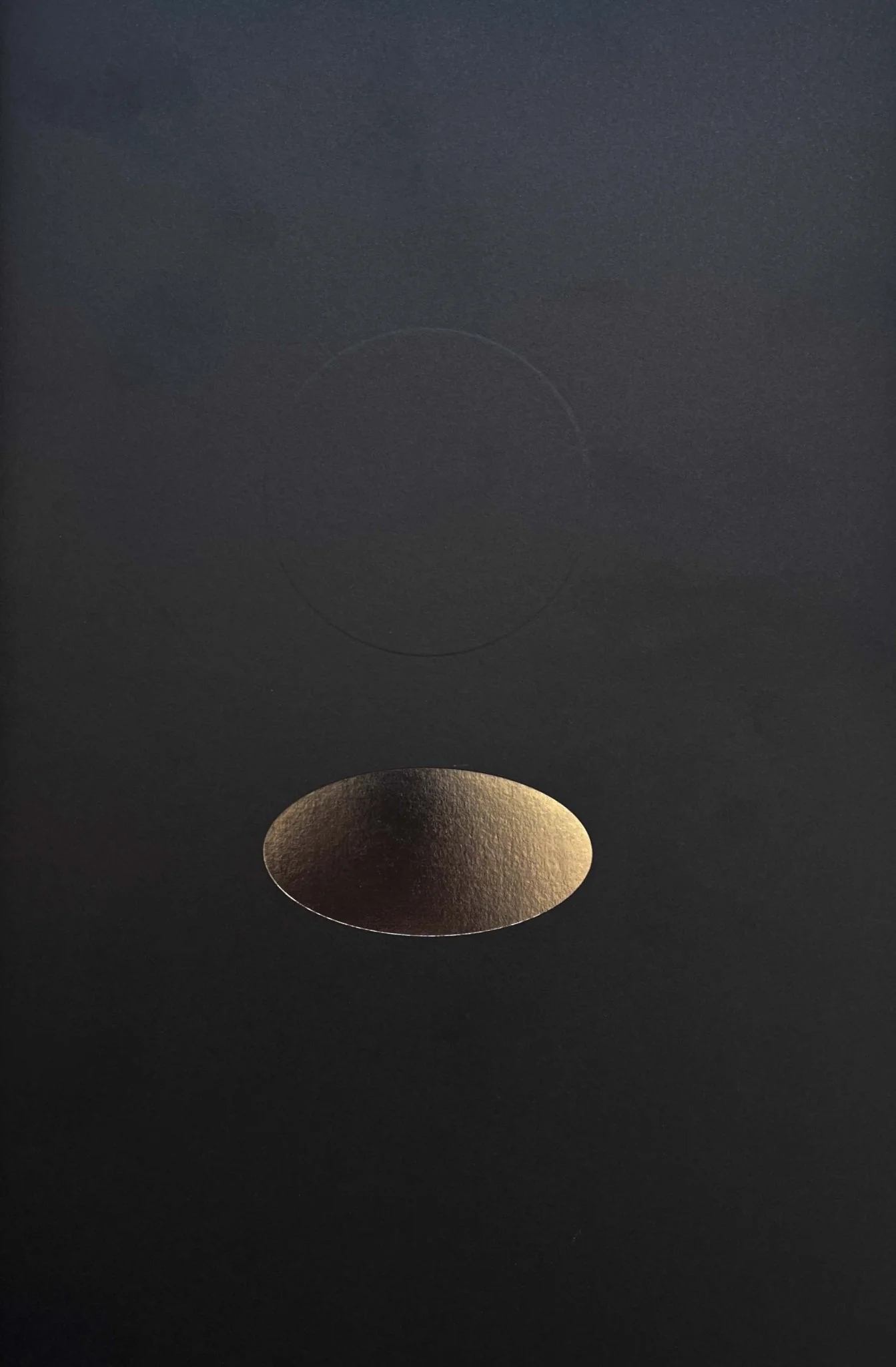 Gravity fields by Rienk De Vries