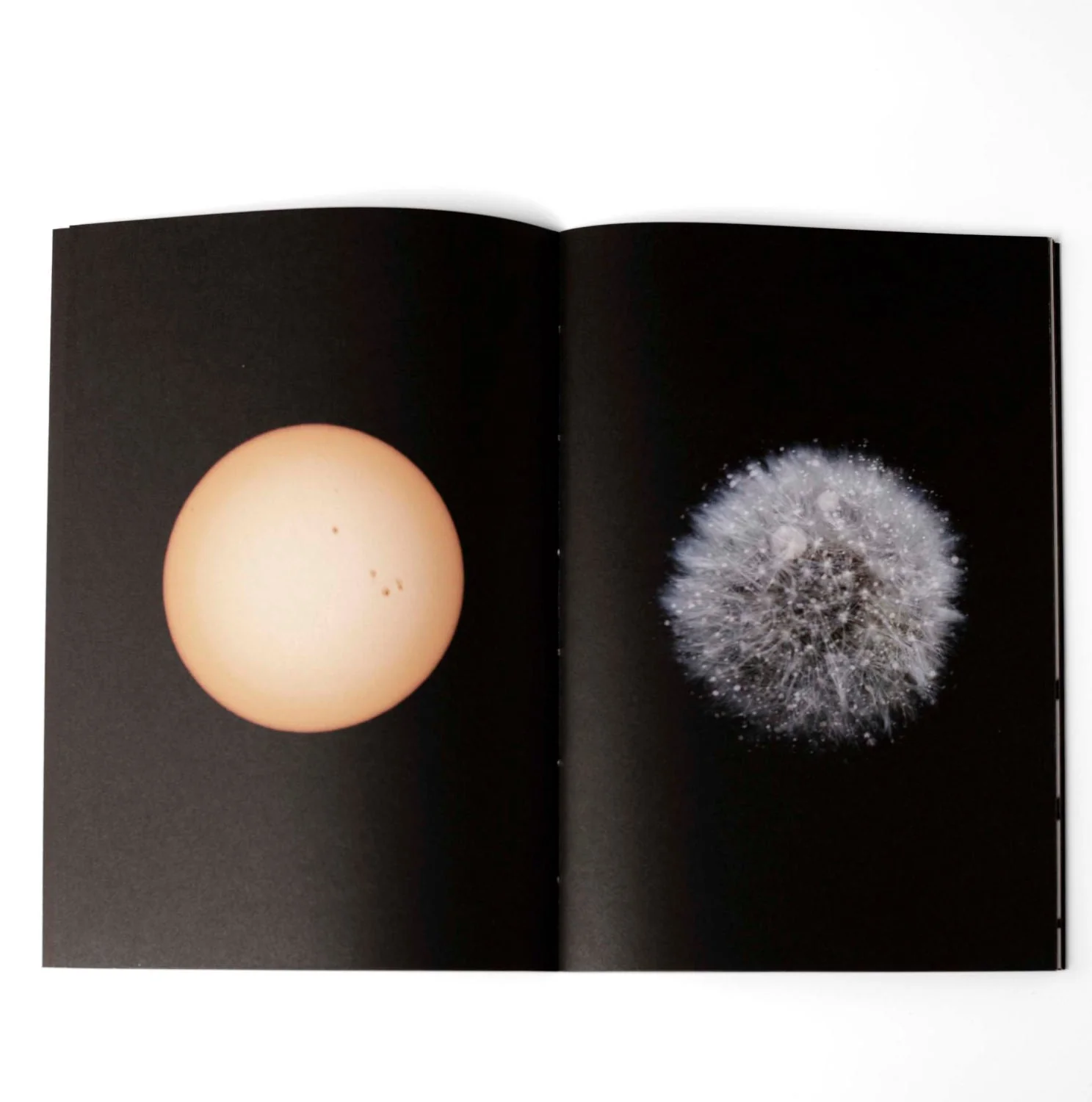Gravity fields by Rienk De Vries - Image 2