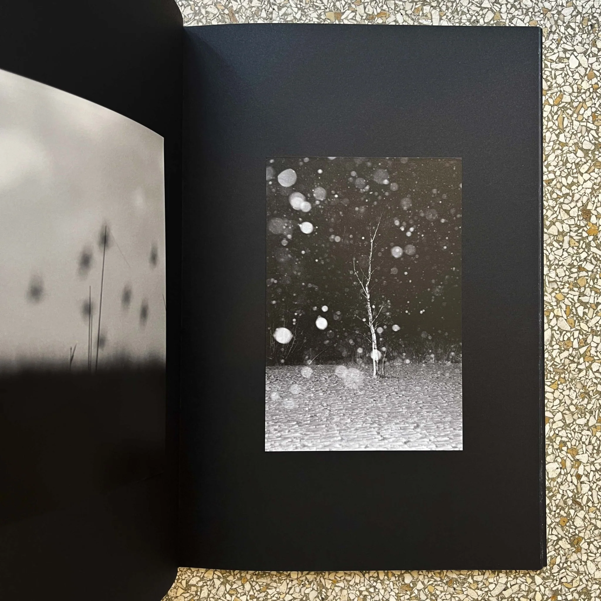 Gravity fields by Rienk De Vries - Image 9