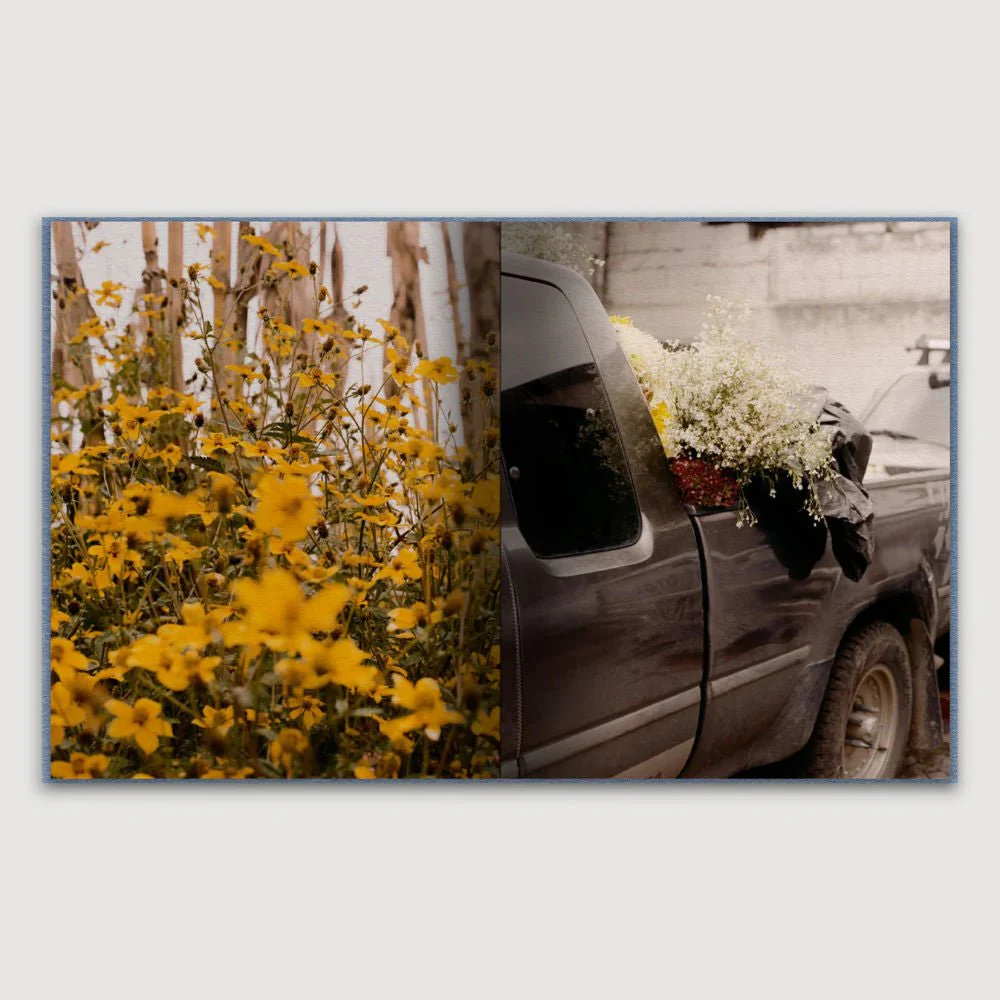 Guest Edition Combo - Image 19
