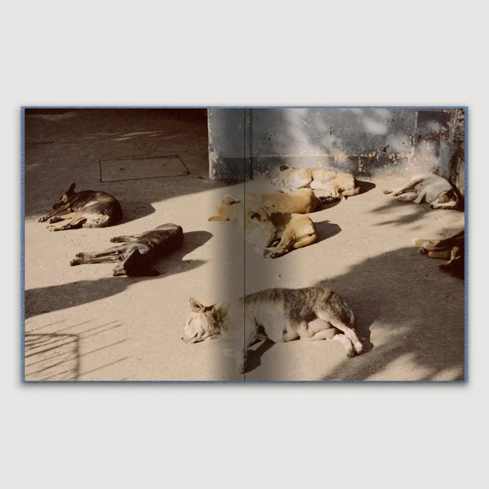 Guest Edition Combo - Image 20