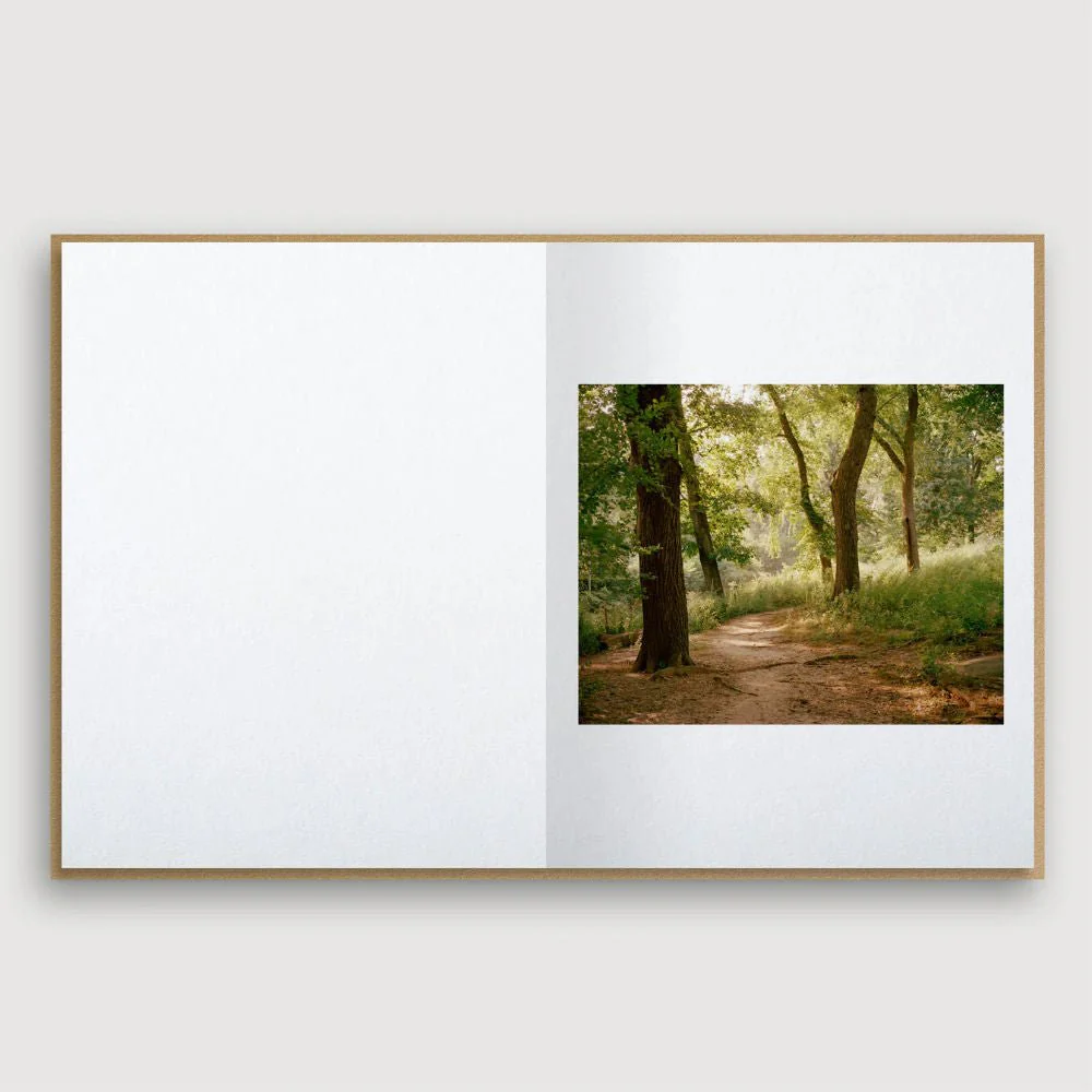 Guest Edition Combo - Image 29