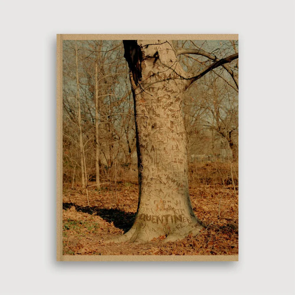Guest Edition Combo - Image 4