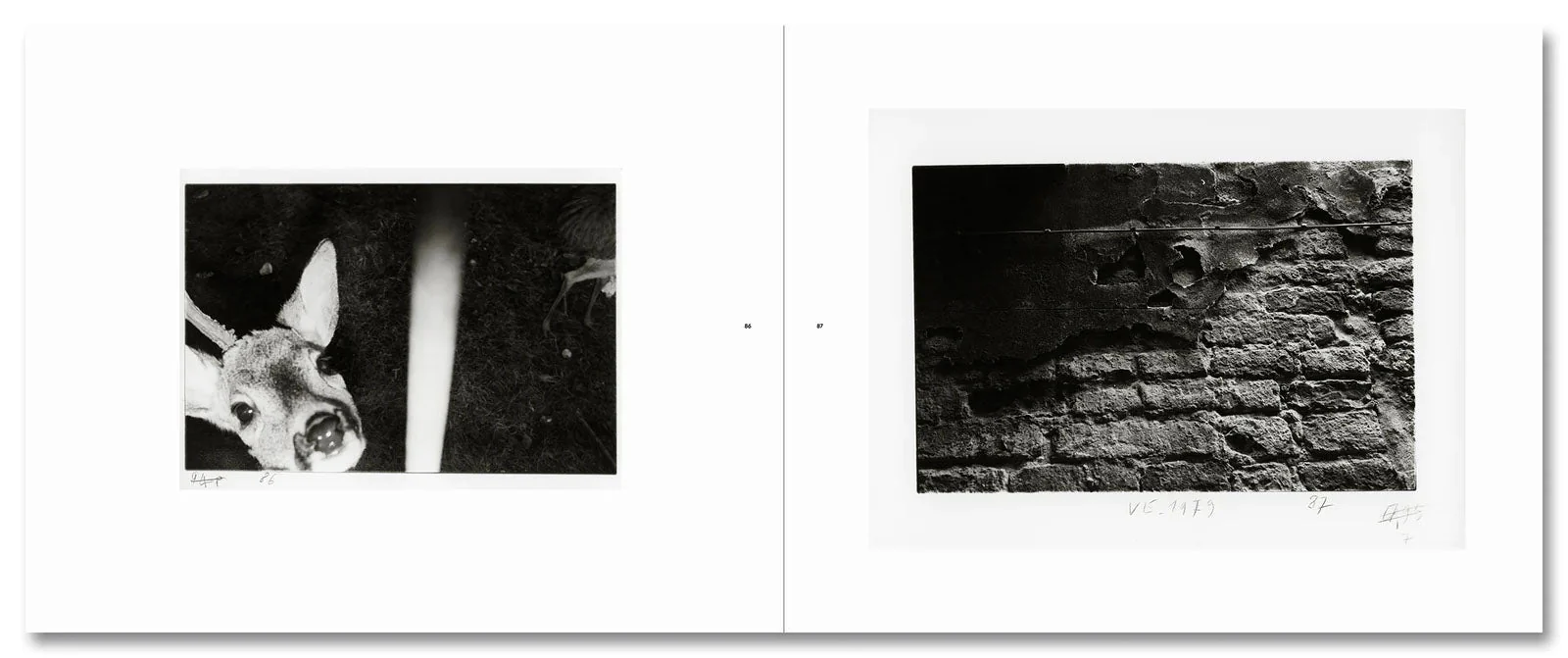 Guido Guidi: The Early Black-and-White Bundle (1969–82) - Image 6