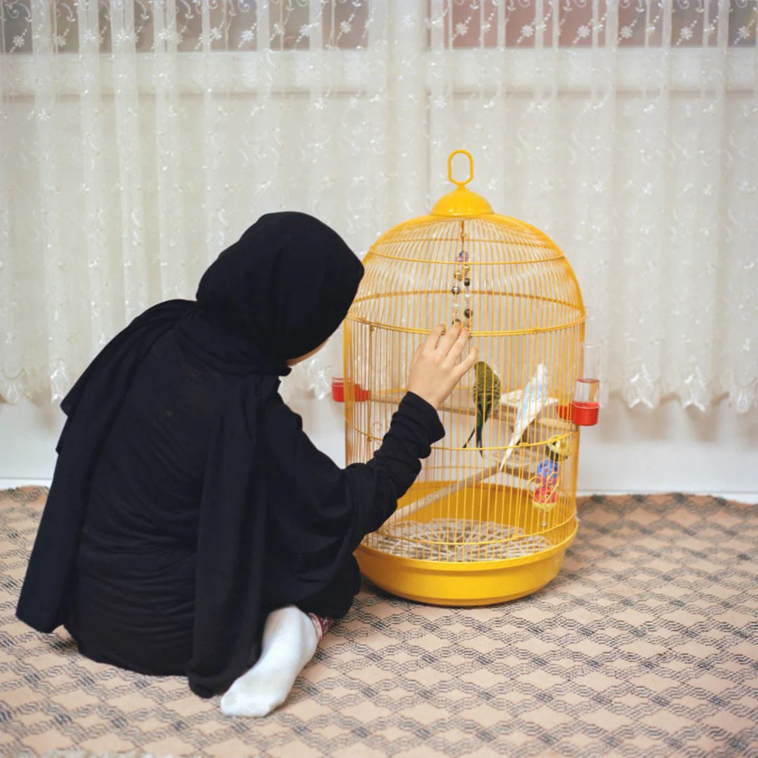 Hafiz by Sabiha Çimen - Image 4