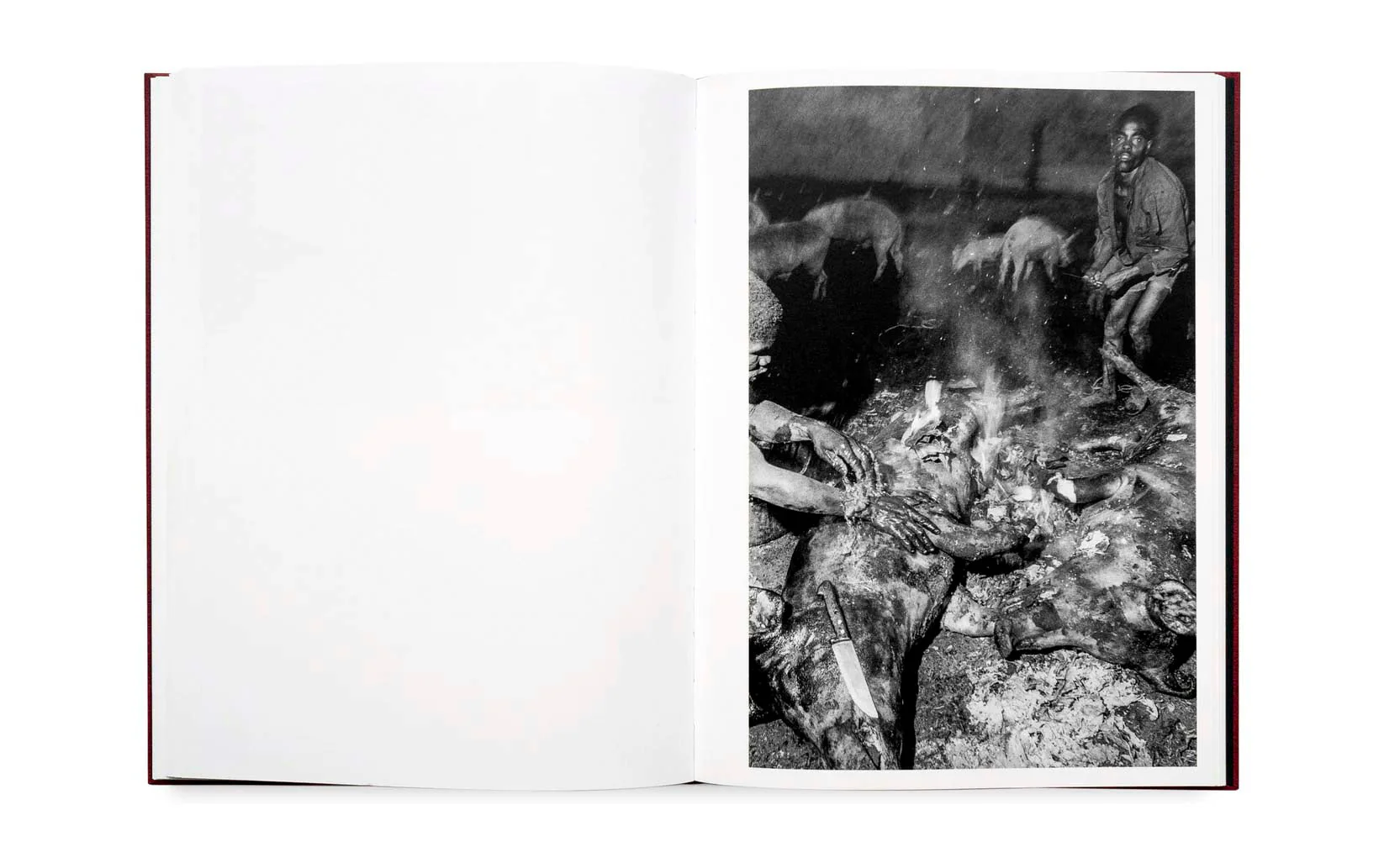 Haiti by Bruce Gilden - Image 3