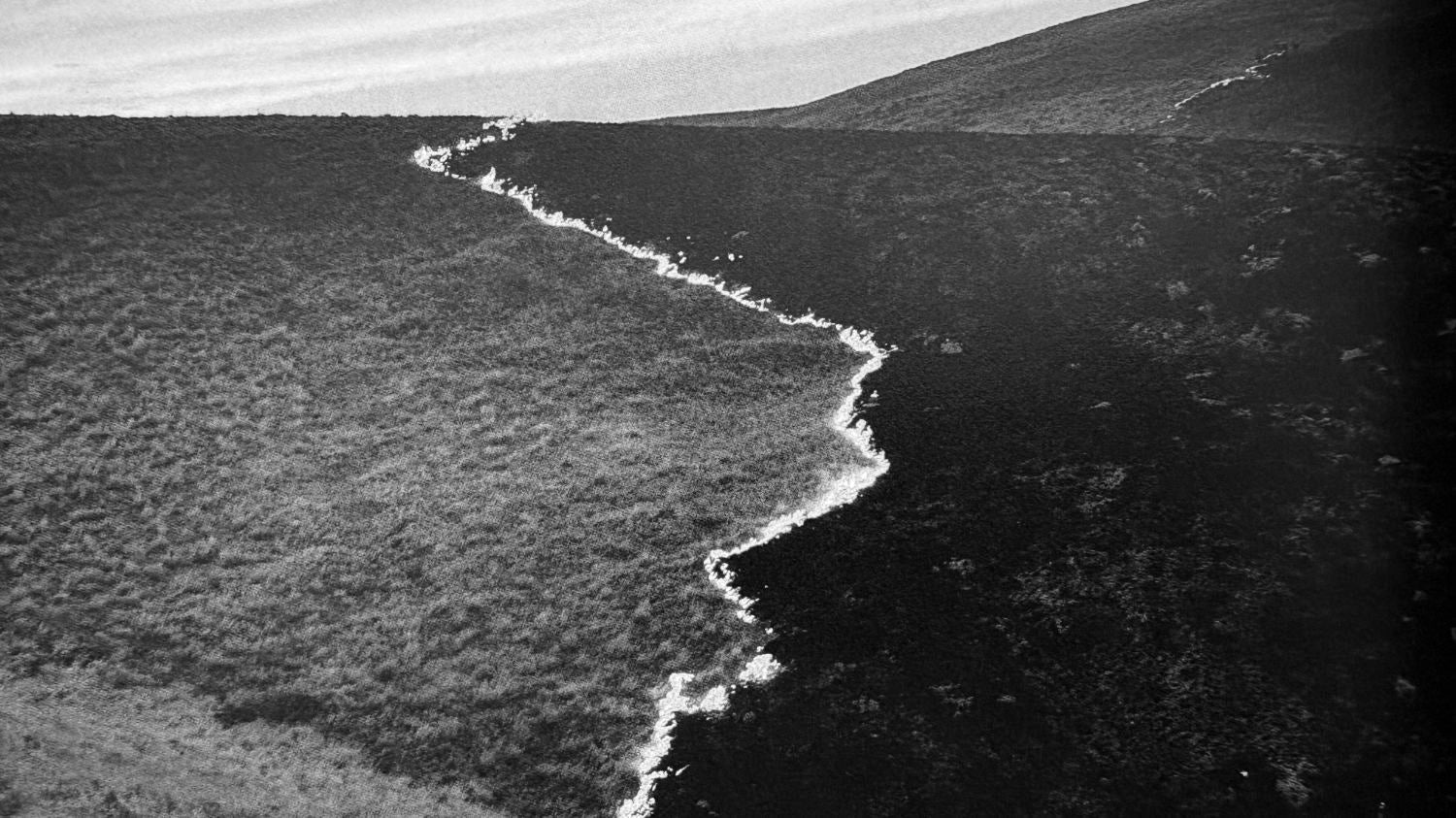 Half a Chisel to the Earth by Tommy Nease - Image 10
