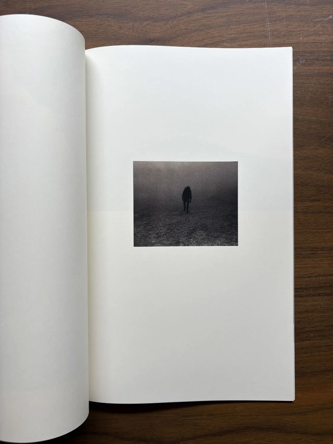 Half a Chisel to the Earth by Tommy Nease - Image 8