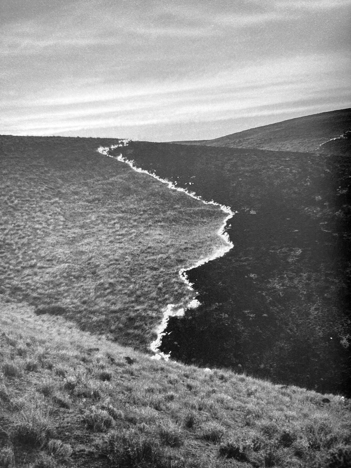 Half a Chisel to the Earth by Tommy Nease - Image 9