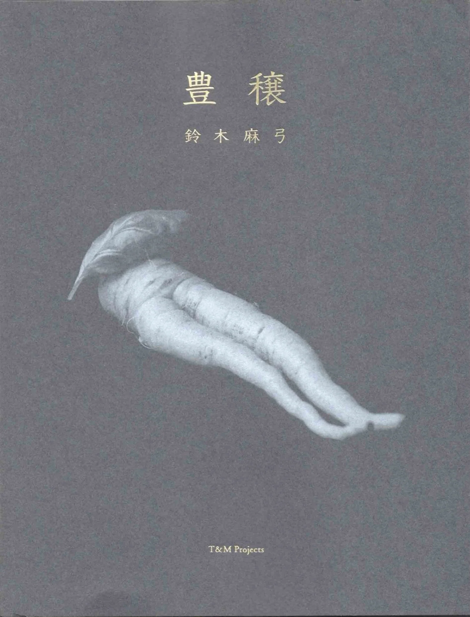 Hojo by Mayumi Suzuki