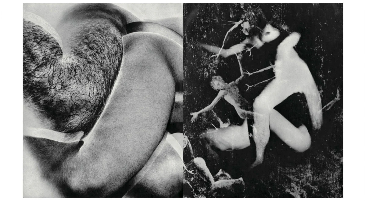 Homo Ludens by Masahisa Fukase - Image 10