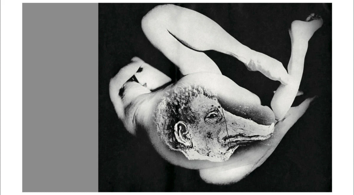 Homo Ludens by Masahisa Fukase - Image 12